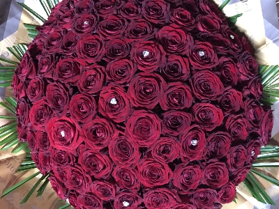 Dome of Luxury red roses