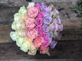 Soft pastel dome roses