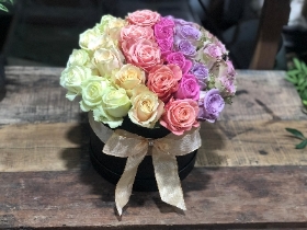 Soft pastel dome roses